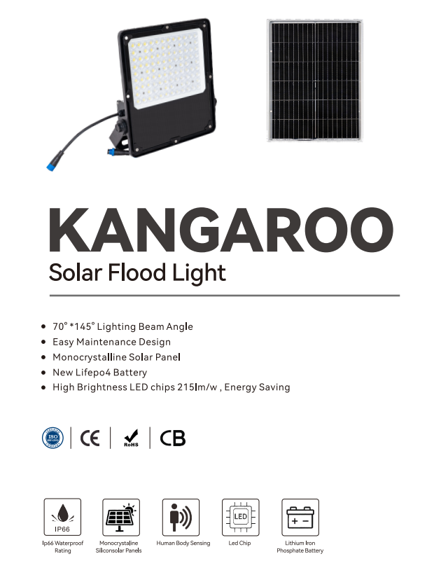 80w solar flood light